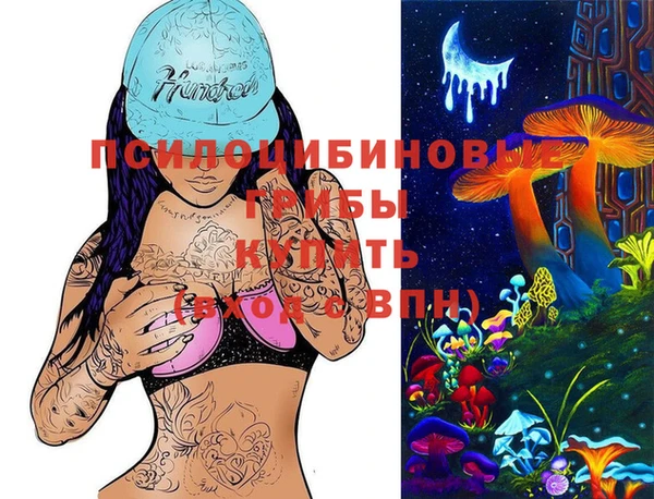 ешки Мегион