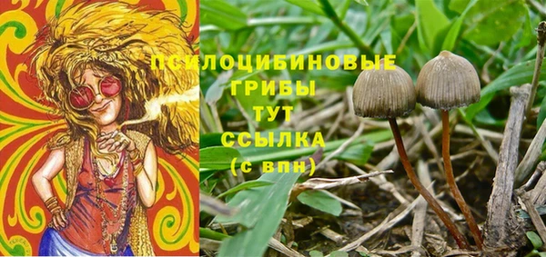 прущая мука Лиски
