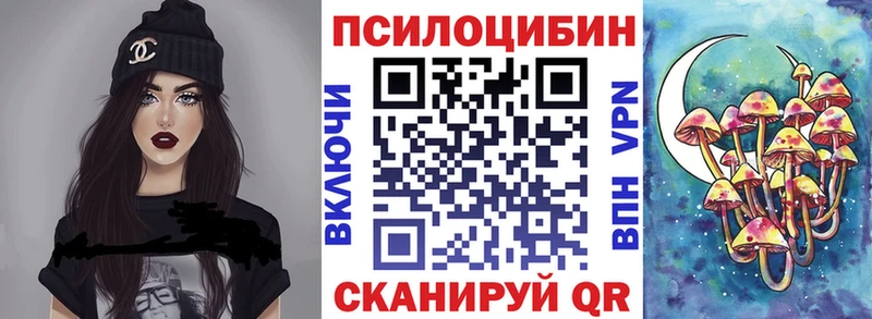 Галлюциногенные грибы Psilocybine cubensis Минусинск