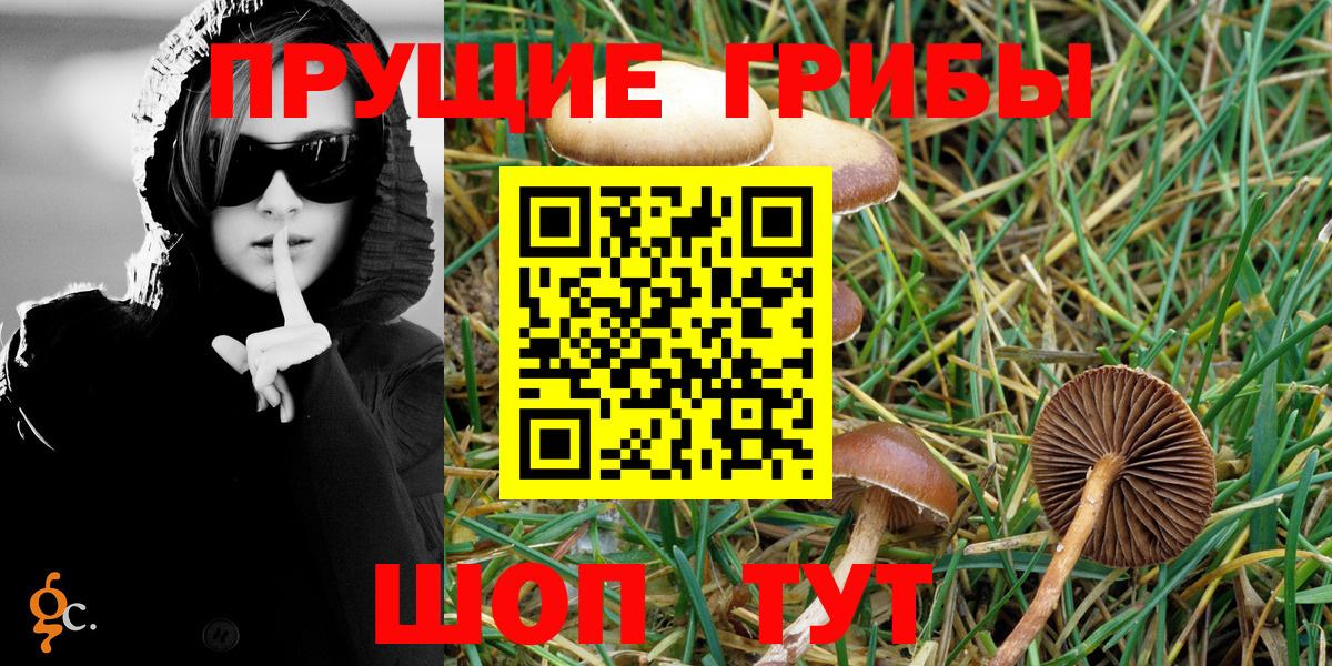 что такое   Галлюциногенные грибы MAGIC MUSHROOMS  Вход с VPN  Минусинск  Псилоцибиновые грибы MAGIC MUSHROOMS 