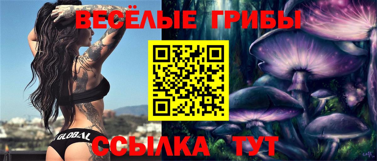 Псилоцибиновые грибы MAGIC MUSHROOMS Минусинск